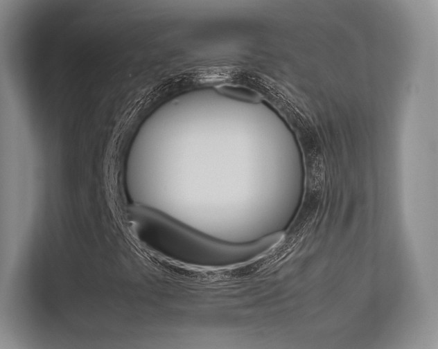 X0000113241441200909100913