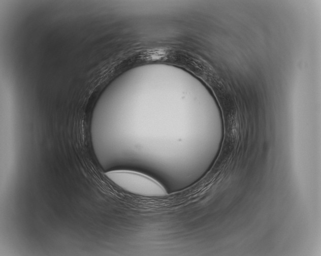 X0000113241442200909100913