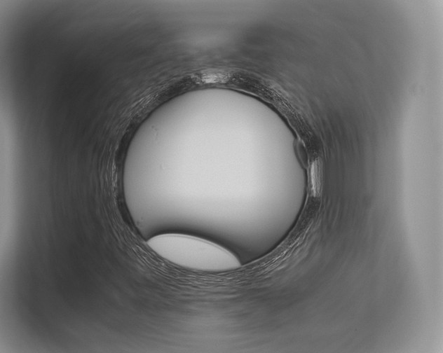 X0000113241443200909100913