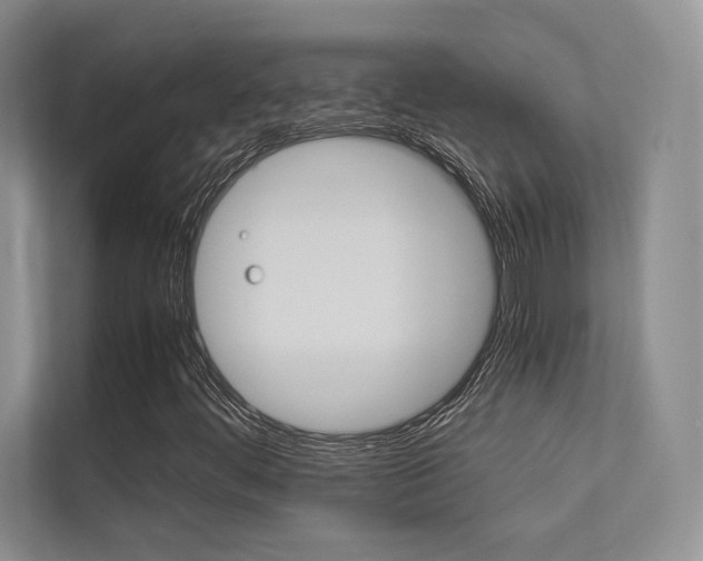 X0000113241444200909100913