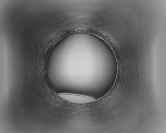 X0000113241445200909100913