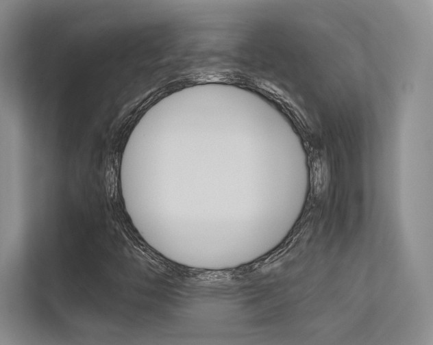 X0000113241446200909100913