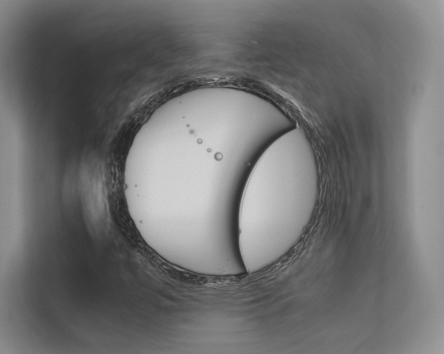 X0000113241447200909100913