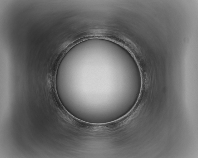 X0000113241449200909100913