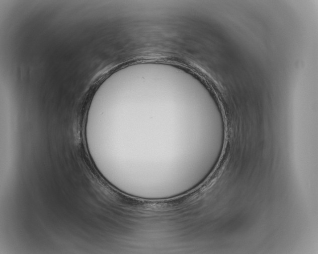 X0000113241451200909100913