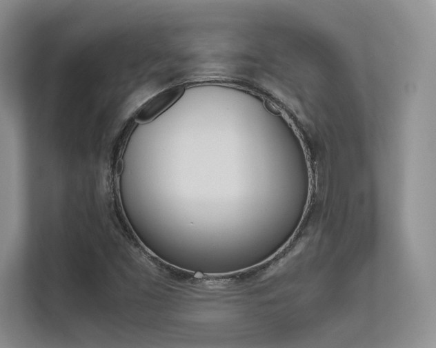 X0000113241453200909100913