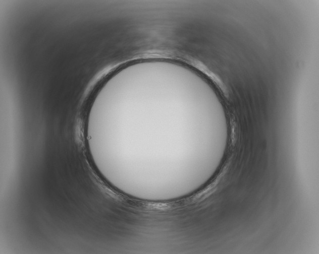 X0000113241454200909100913
