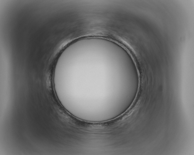 X0000113241455200909100913