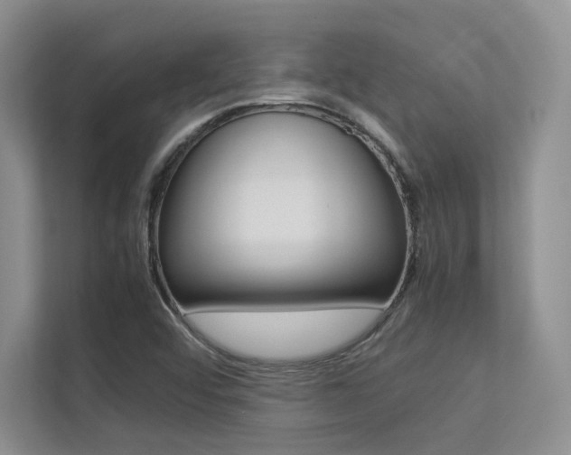 X0000113241456200909100913