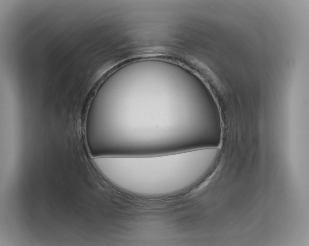 X0000113241457200909100913