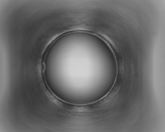 X0000113241460200909100913