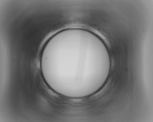 X0000113241462200909100913