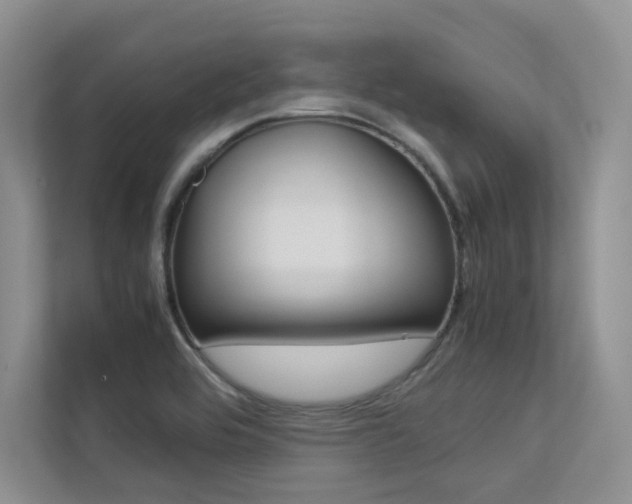 X0000113241464200909100913