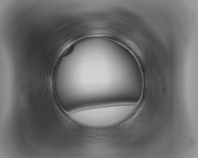 X0000113241465200909100913