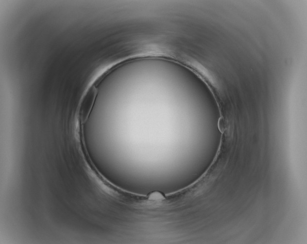 X0000113241468200909100913