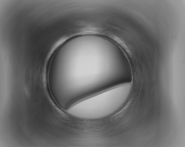 X0000113241469200909100913