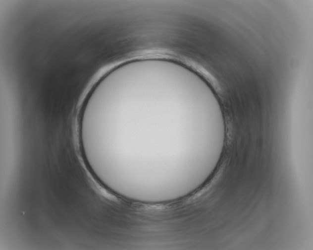 X0000113241470200909100913