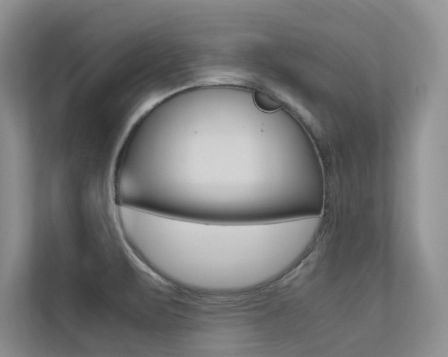 X0000113241471200909100913