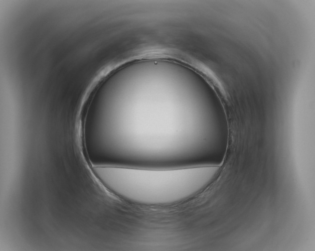X0000113241472200909100913