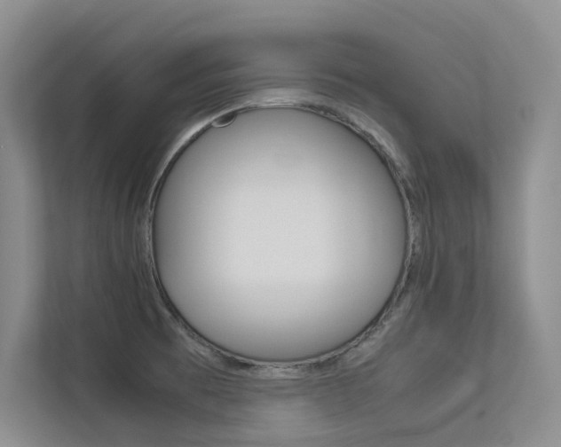 X0000113241473200909100913