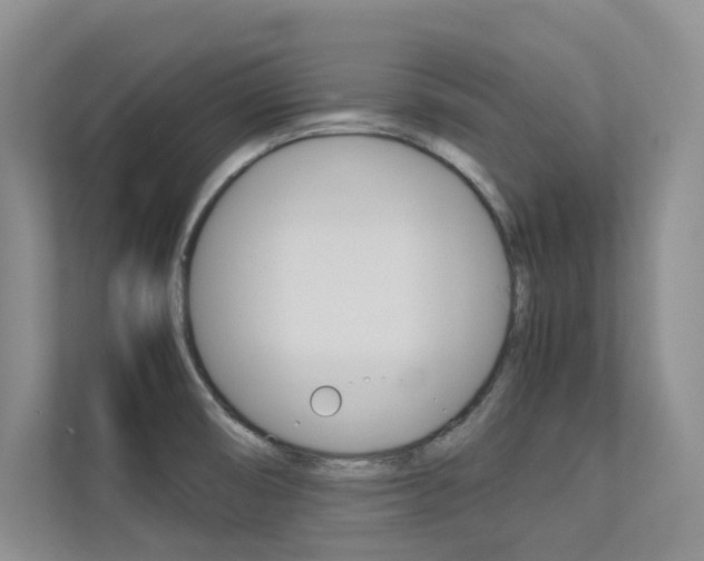 X0000113241474200909100913