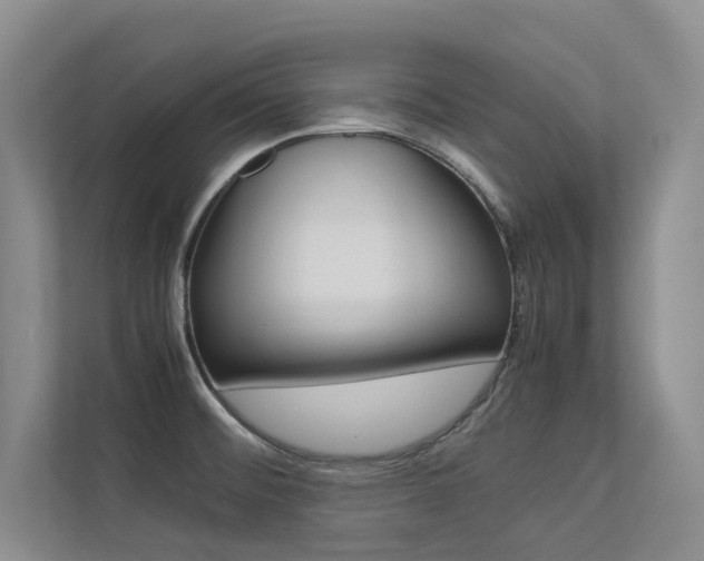 X0000113241476200909100913