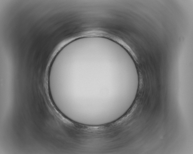 X0000113241478200909100913
