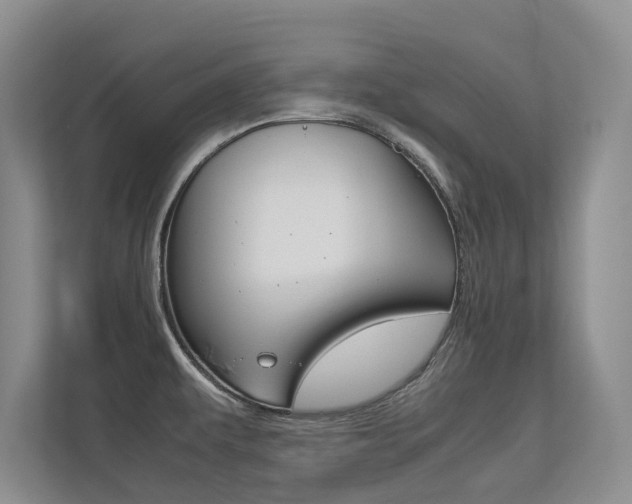X0000113241479200909100913