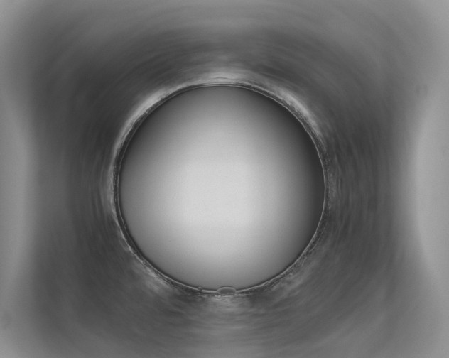 X0000113241480200909100913