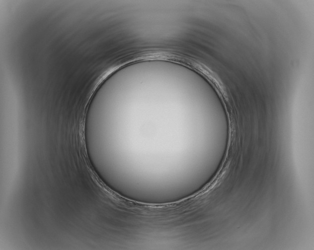 X0000113241481200909100913