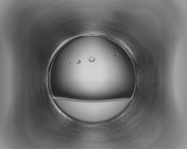 X0000113241484200909100913