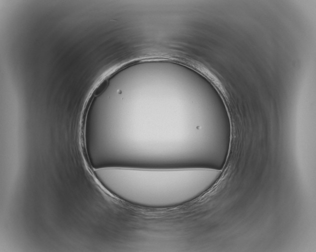X0000113241485200909100913