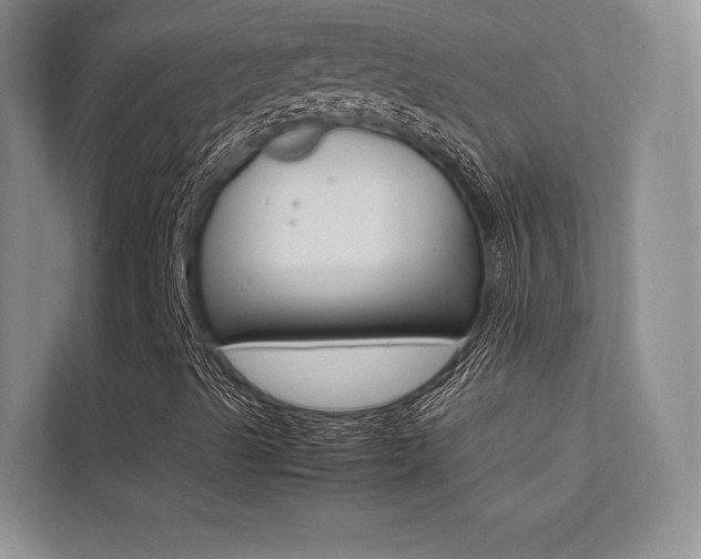 X0000113241489200909100912