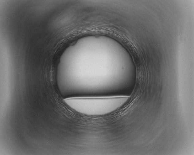 X0000113241490200909100912