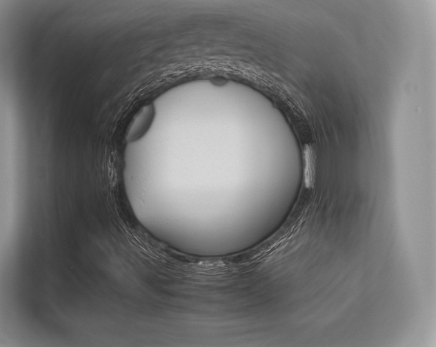 X0000113241491200909100912
