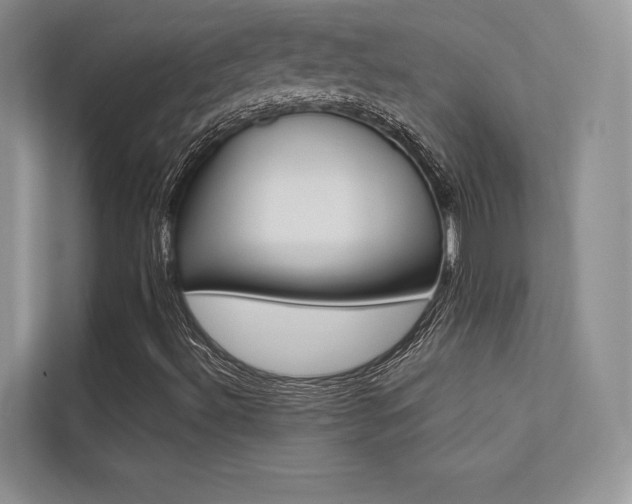 X0000113241492200909100912