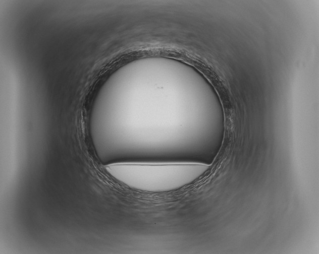 X0000113241493200909100912