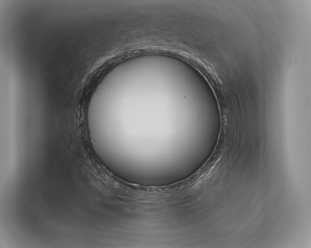 X0000113241494200909100912