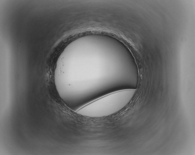 X0000113241495200909100912