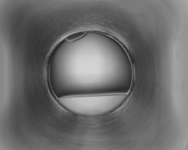 X0000113241500200909100912
