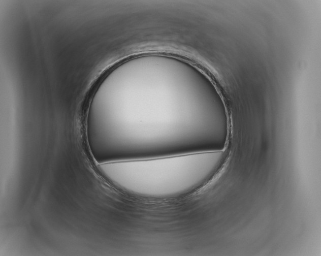 X0000113241501200909100912