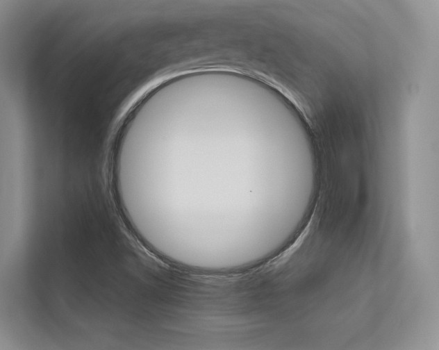 X0000113241502200909100912