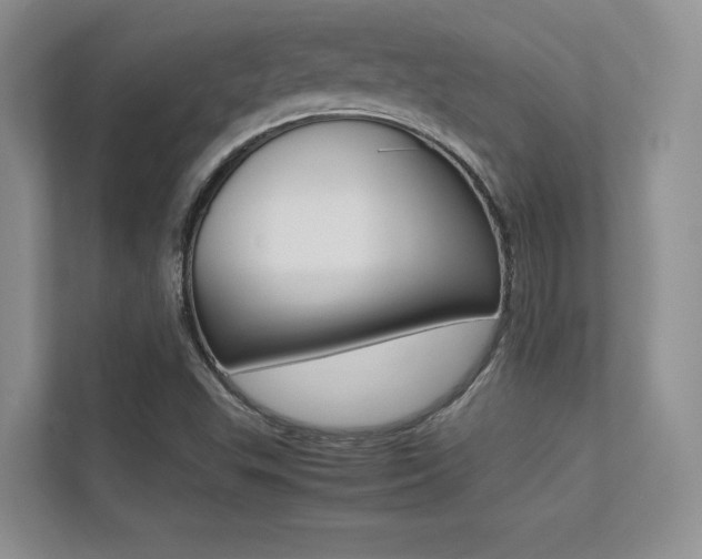 X0000113241503200909100912
