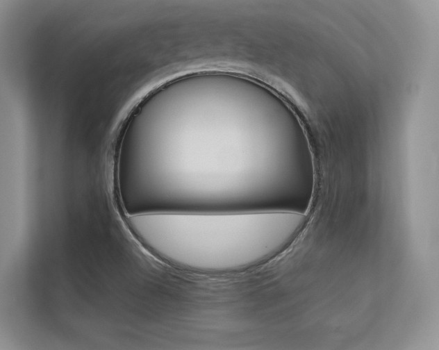 X0000113241504200909100912