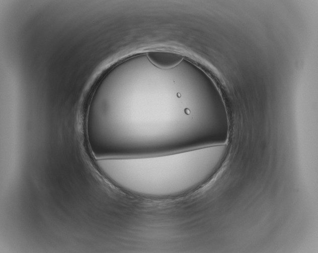X0000113241506200909100912