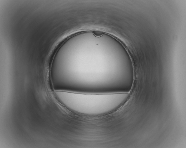 X0000113241507200909100912