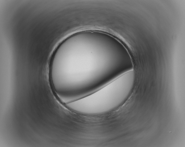 X0000113241508200909100912