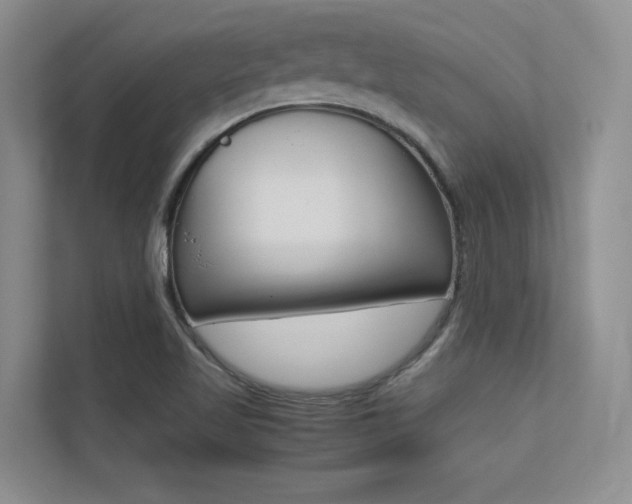 X0000113241509200909100912