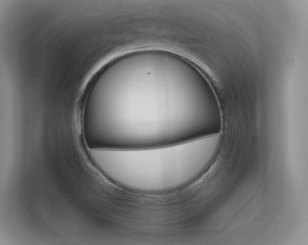 X0000113241510200909100912
