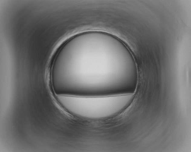 X0000113241511200909100912